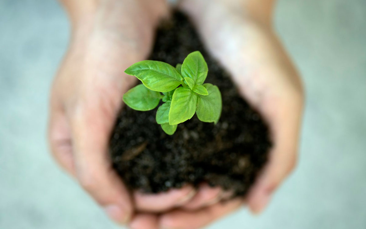 Sürdürebilirlik Politikası